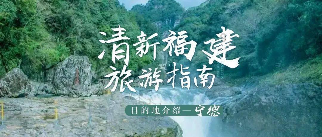 动漫明星竞速赛