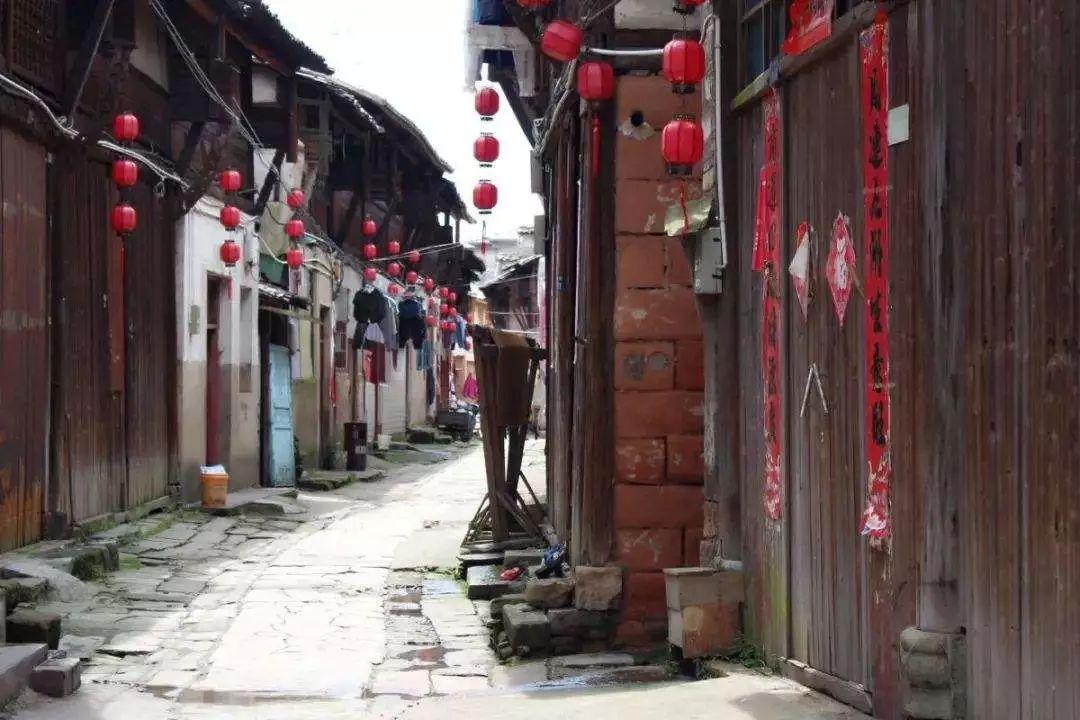 辽宁男篮三杀广东,赵继伟25+11张镇麟19+8+8,胡明轩空砍21分